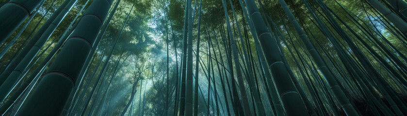 Floresta de bambu - Papel de parede