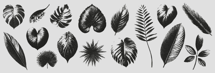 Set of elements with a retro photocopy effect. Realistic tropical leaves with a grain effect. Modern vector illustration.