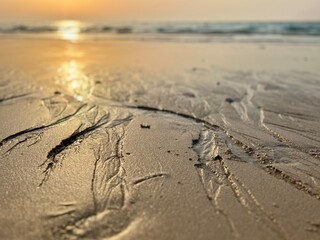Sunlight on the wet sandy seashore
