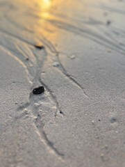 Sunlight on the wet sandy seashore