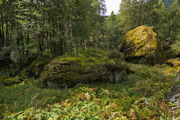 Fototapete bei efototapeten.de bestellen   