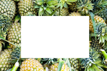 Ripe pineapples fruits. Bright tropical background. free space for text. - 794161475