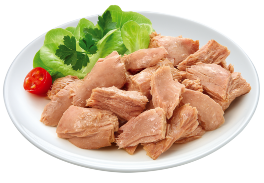 salada de folhas verdes acompanhado de lascas de atum cozido isolado em fundo transparente