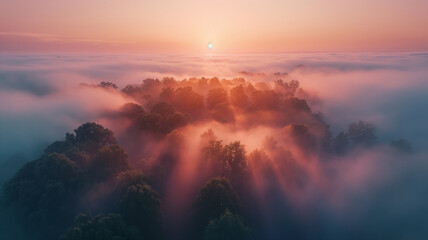 A foggy forest with a sun in the sky