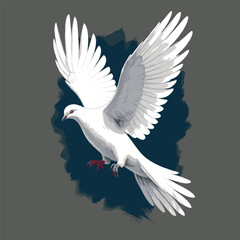 A White Dove Flying Like A Pigeon In Peace sign