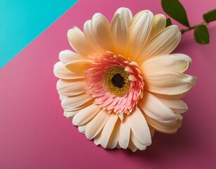 fleur sur un papier de couleur vive, printemps et paix en ia