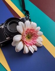jolie fleur rose sur un appareil photo et support coloré en ia