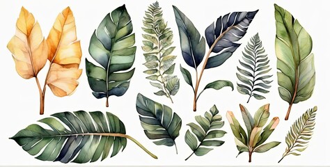 Watercolor set of tropical leaves,  - 794182612