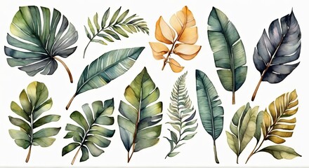 Watercolor set of tropical leaves,  - 794182625