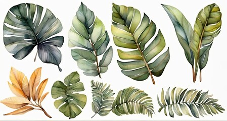 Watercolor set of tropical leaves,  - 794182840