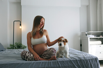 Happy pregnant woman petting her wire haired jack russell terrier pup on the bed at home. Copy...