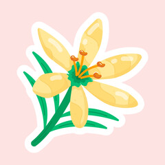 Stickers Depicting Spring Flowers 
