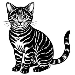 illustration of a cat