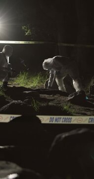 Crime scene, evidence and mystery with forensic team outdoor at night to work on murder case. Accident, photography and teamwork with people in dark forest for discovery of body or law and order