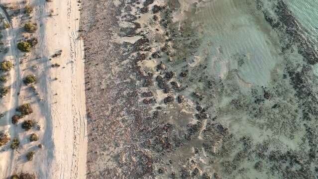 Aerial of Stromatolites in Hamelin Pool, Shark Bay, UNESCO World Heritage Site, Western Australia, Australia, Pacific