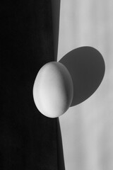 still life with egg