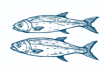 Sardines drawn in blue pencil on a white background and space for text, design for interior