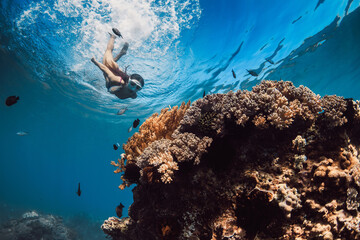 Woman with mask dives to the corals in blue sea. Snorkeling with woman in Hawaii