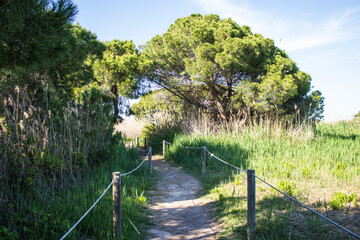 Delta del Llobregat in Barcelona, Spain, on a sunny day, blue sky, green grass, field, plants and birds,vegetation around the delta,earth day