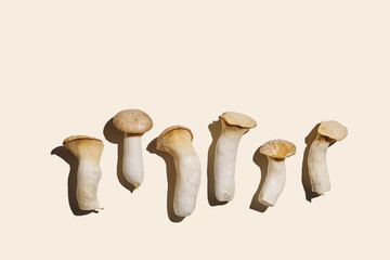 Pleurotus eryngii white mushrooms at sunlight, edible fungus as minimal trend pattern on beige background, top view monochrome still life flat lay from whole mushroom, health eating, vegan food