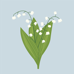 lily of the valley flowers; perfect for greeting cards, wedding , first holy communion, baptism invitations, or botanical-themed designs - vector illustration