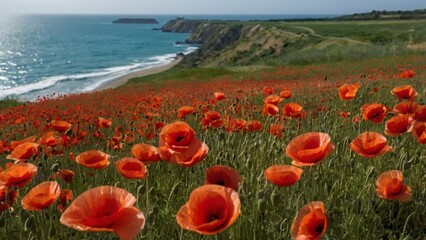 field of red poppies and sea in the background - 794229651