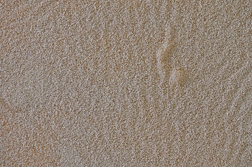 Yeast grains on a mixture of milk and water used in dough making.