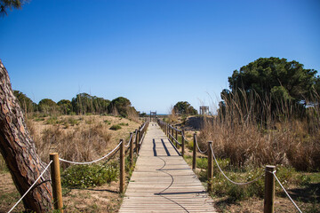 Delta del Llobregat in Barcelona, Spain, on a sunny day, blue sky, green grass, field, plants and...