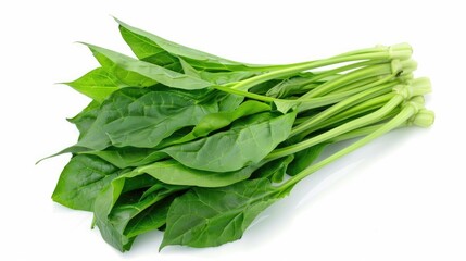 Organic Water Spinach Vegetable Isolated on White Background - Ideal for Morning Glory Meal - obrazy, fototapety, plakaty