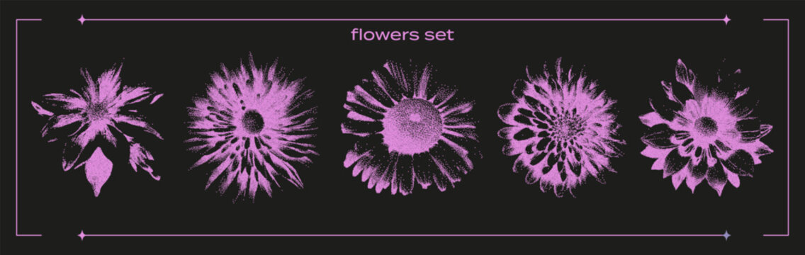 Set of flowers with a retro photocopy effect. Flowers, chamomile, aster, with a grain effect. A modern Y2K illustration.