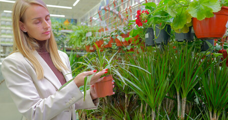 Young woman designer choosing plants for her home