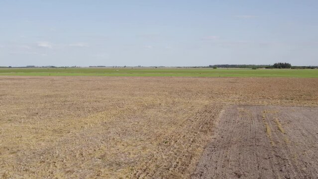 Campo &aacute;rido grabado con dron 