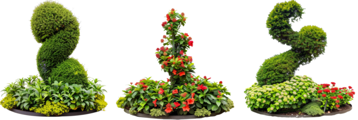 set of garden topiaries, intricately shaped and adorned with flowering accents, isolated on transparent background
