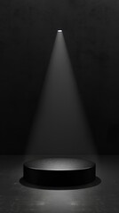 Luxurious Dark Elegance Product Prestige Platform