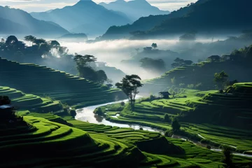  Picturesque rice fields against the background of magical nature © sofiko14