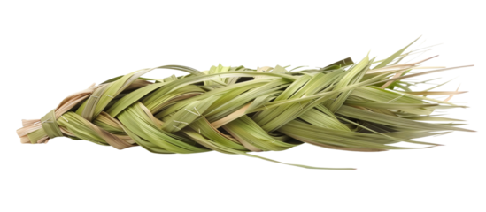 Wave of sweet grass woven into traditional braids, used in crafts and for its pleasant fragrance, isolated on transparent background