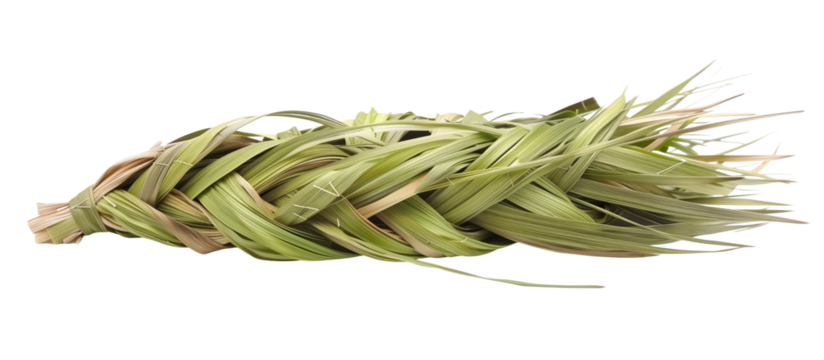 Wave of sweet grass woven into traditional braids, used in crafts and for its pleasant fragrance, isolated on transparent background