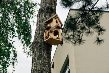 Birdhouse on a tree. House for birds.
