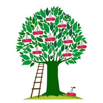 cherry tree with ladder, green leaves clip art preview