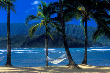 Relaxing Tropical Day in Paradise, Hawaii