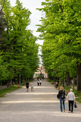 Venice, Italy: the Biennale Gardens constitute the largest green area in the historic center and...