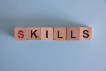Skills Word Written In Wooden Cube. Job search concept.