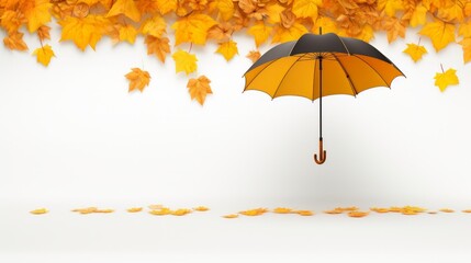 Creative symbolic image of autumn season - maple and rowan leaves in yellow, umbrella on white background.