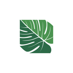 Green Tropical Palm leaf logo design vector
