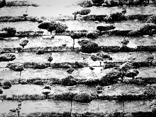 Black and white sloping roof close up