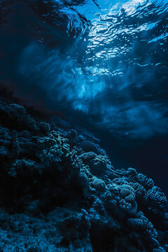 underwater view of dark blue ocean water, under the surface. High quality photo