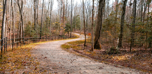 Curved Forest Ride Park Hiking Trail