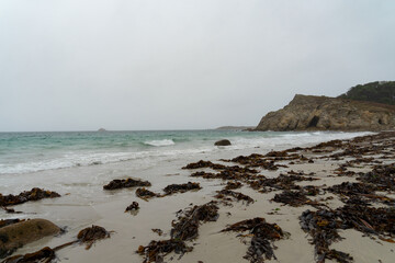 Plage du Finistère nord : sable parsemé d'algues brunes sous un ciel couvert en Bretagne.