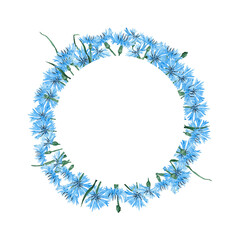 A beautiful watercolor wreath with meadow flowers. Blue cornflowers in a circle. Flower border. Flat lay, top view, copy space, place for text