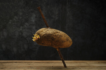 Raw potatoes on a dark background